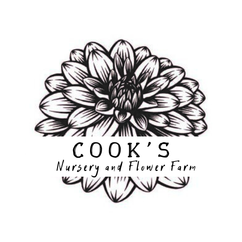 Cook's Nursery and Flower Farm